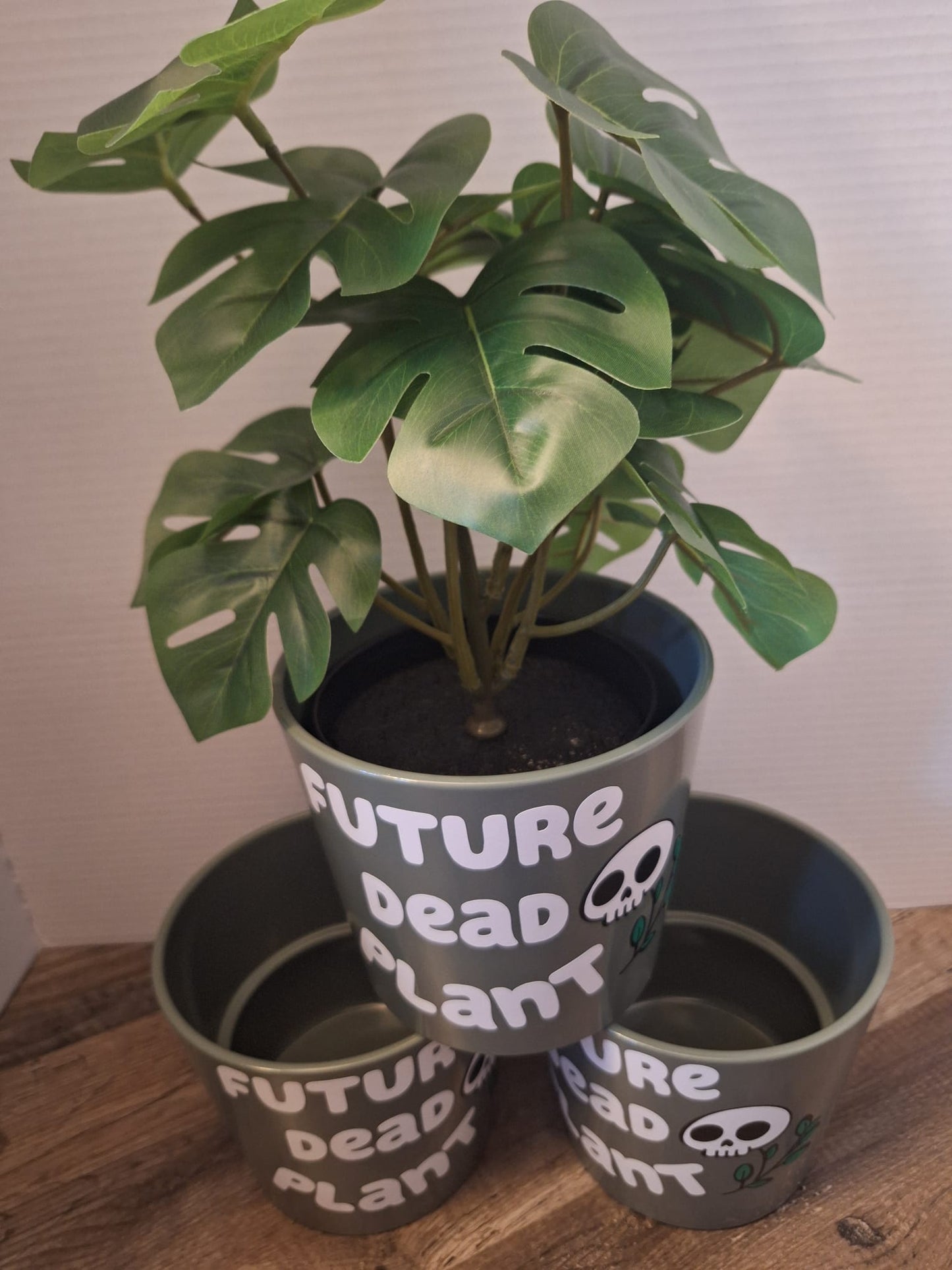 'Future Dead Plant'