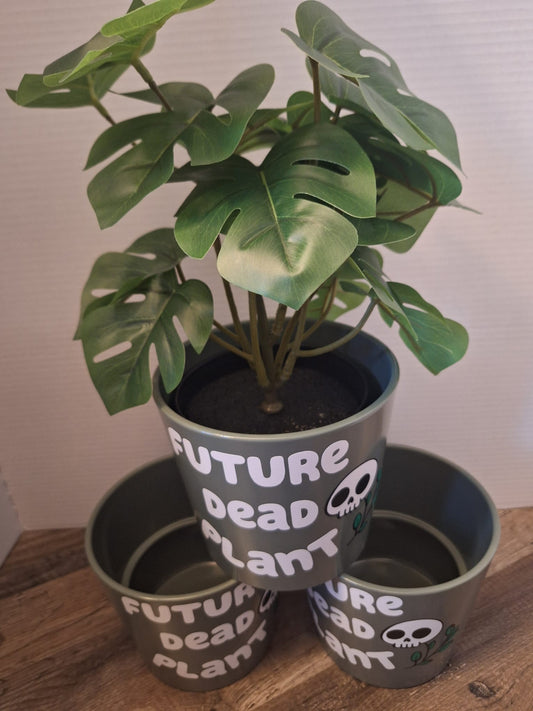 'Future Dead Plant'