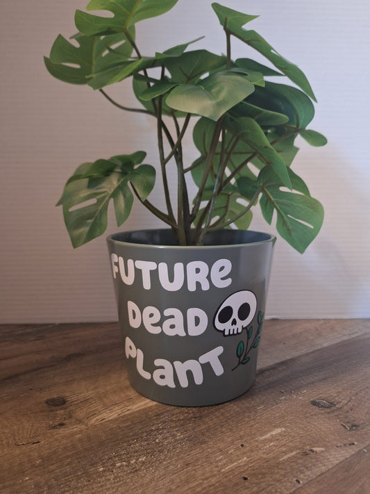 'Future Dead Plant'