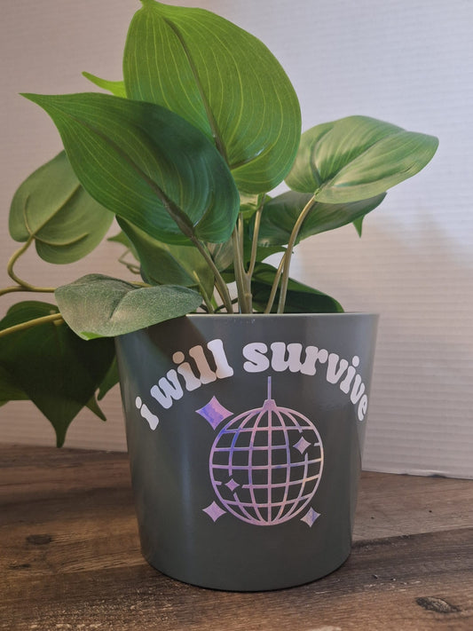 'I Will Survive'