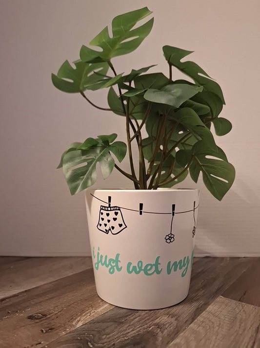 'I Just Wet My Plants'